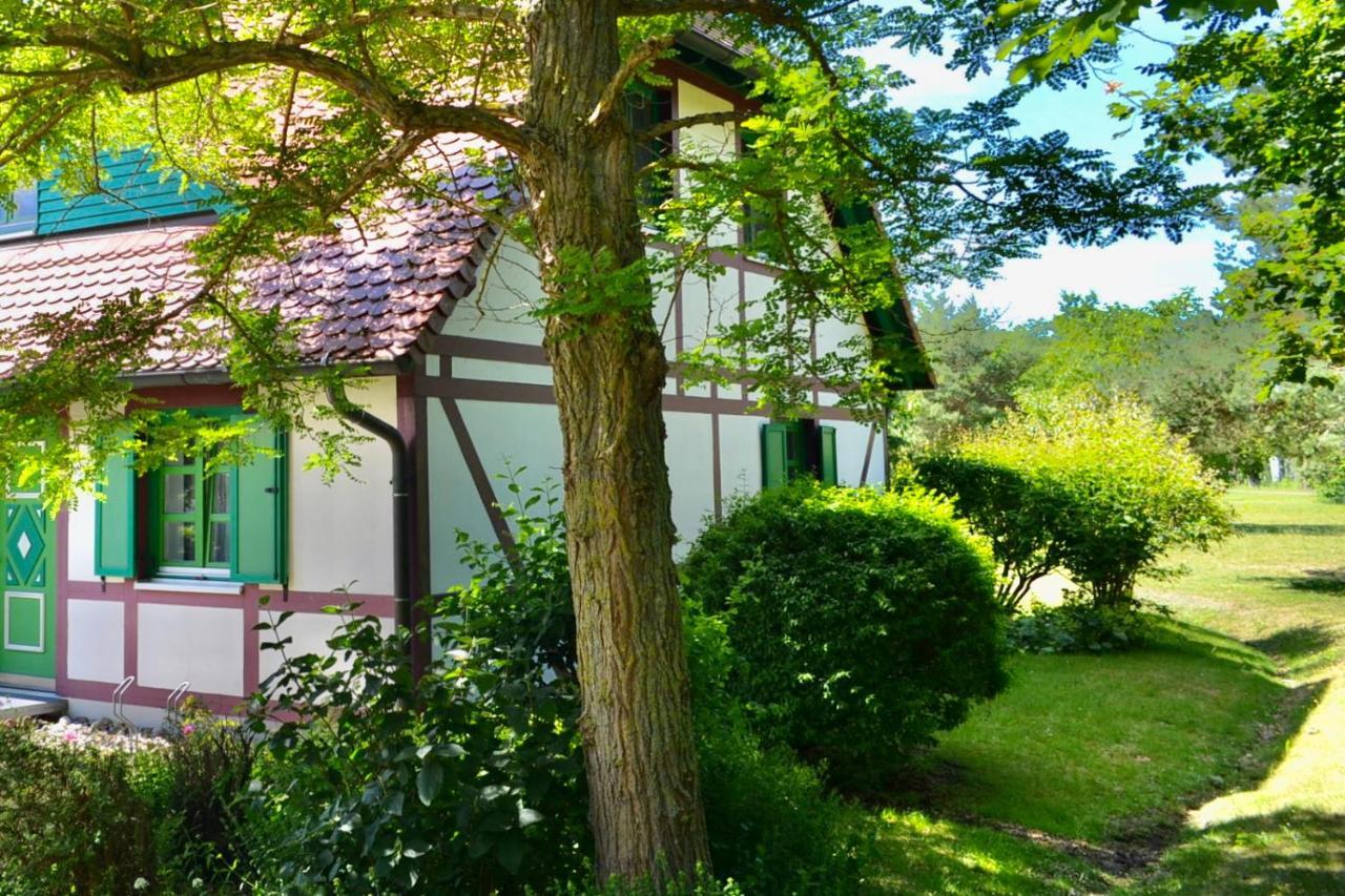 Strandnahe Ferienwohnung Ruegen 德兰斯克 外观 照片