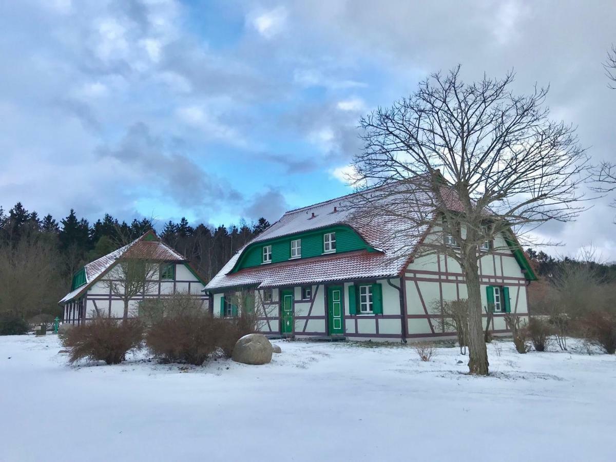 Strandnahe Ferienwohnung Ruegen 德兰斯克 外观 照片